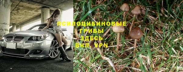 винт Богородицк