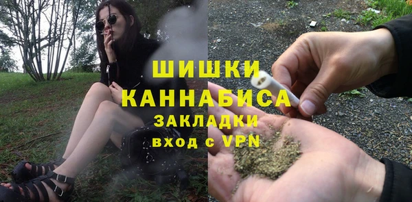 наркотики Бородино
