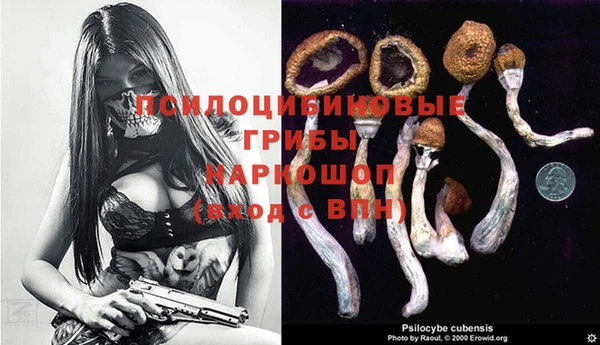винт Богородицк